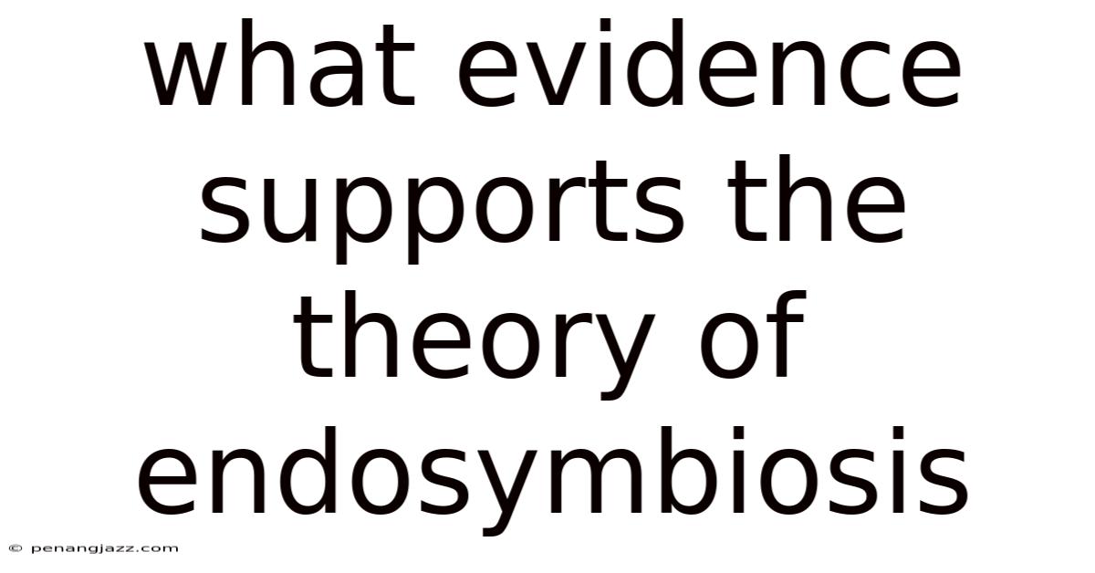 What Evidence Supports The Theory Of Endosymbiosis