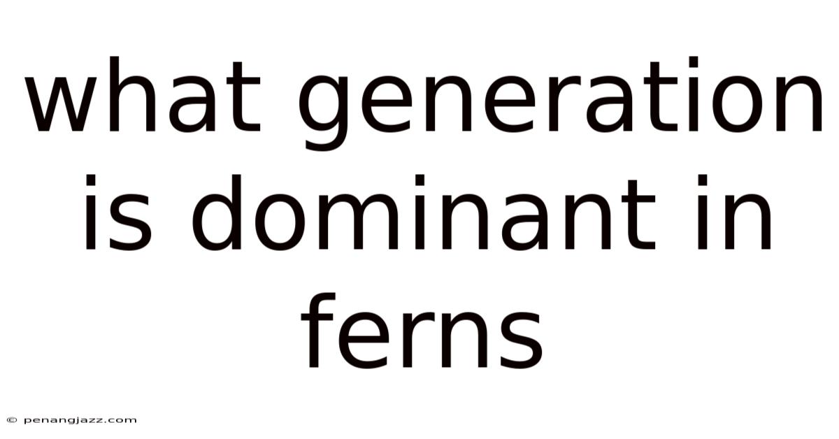 What Generation Is Dominant In Ferns