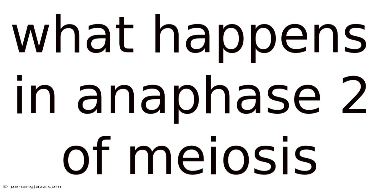 What Happens In Anaphase 2 Of Meiosis