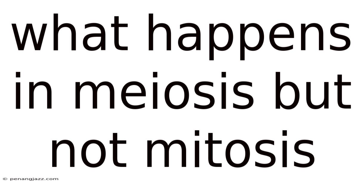 What Happens In Meiosis But Not Mitosis