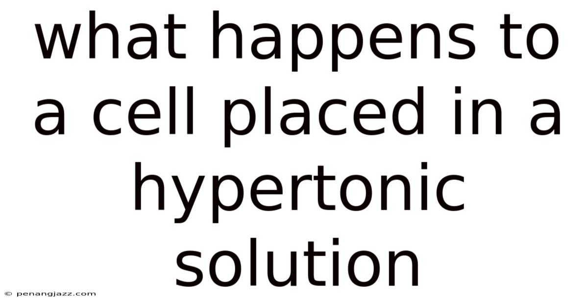 What Happens To A Cell Placed In A Hypertonic Solution