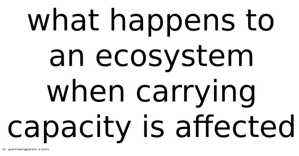 What Happens To An Ecosystem When Carrying Capacity Is Affected