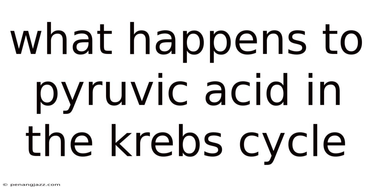 What Happens To Pyruvic Acid In The Krebs Cycle
