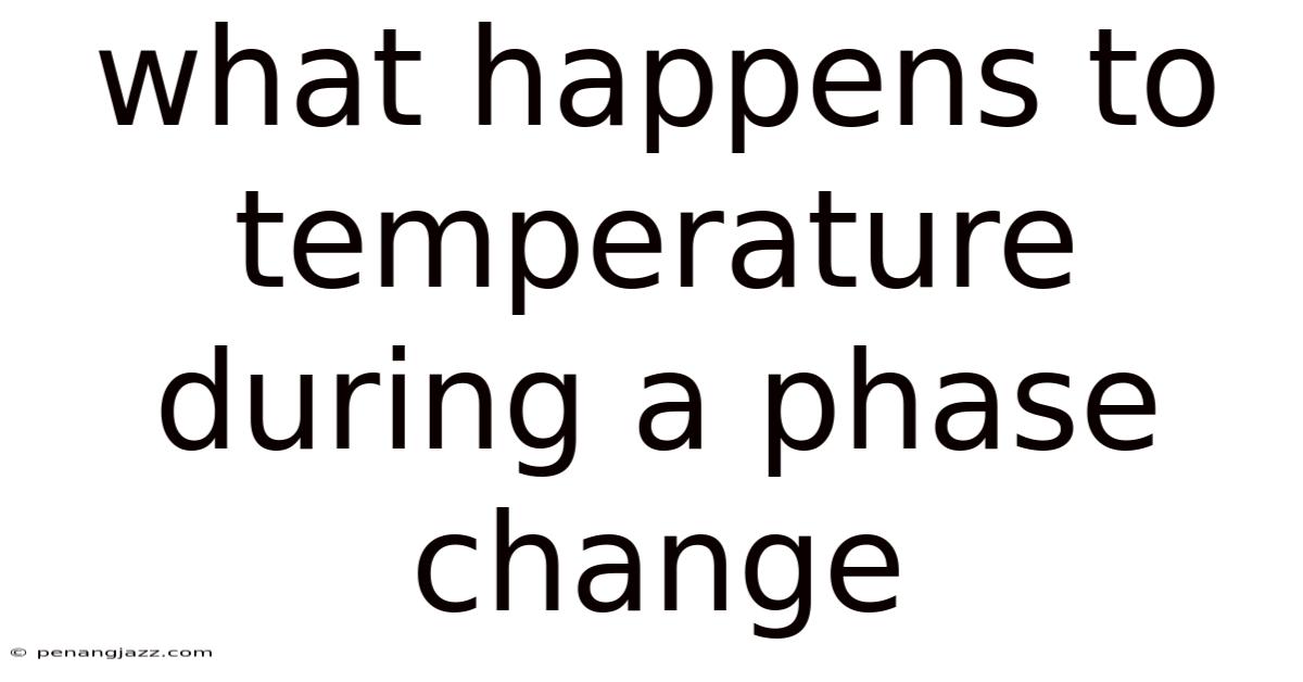 What Happens To Temperature During A Phase Change