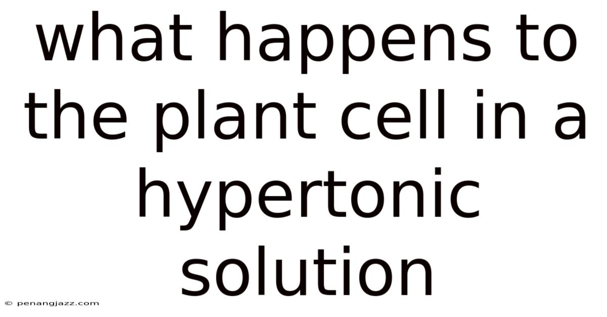 What Happens To The Plant Cell In A Hypertonic Solution