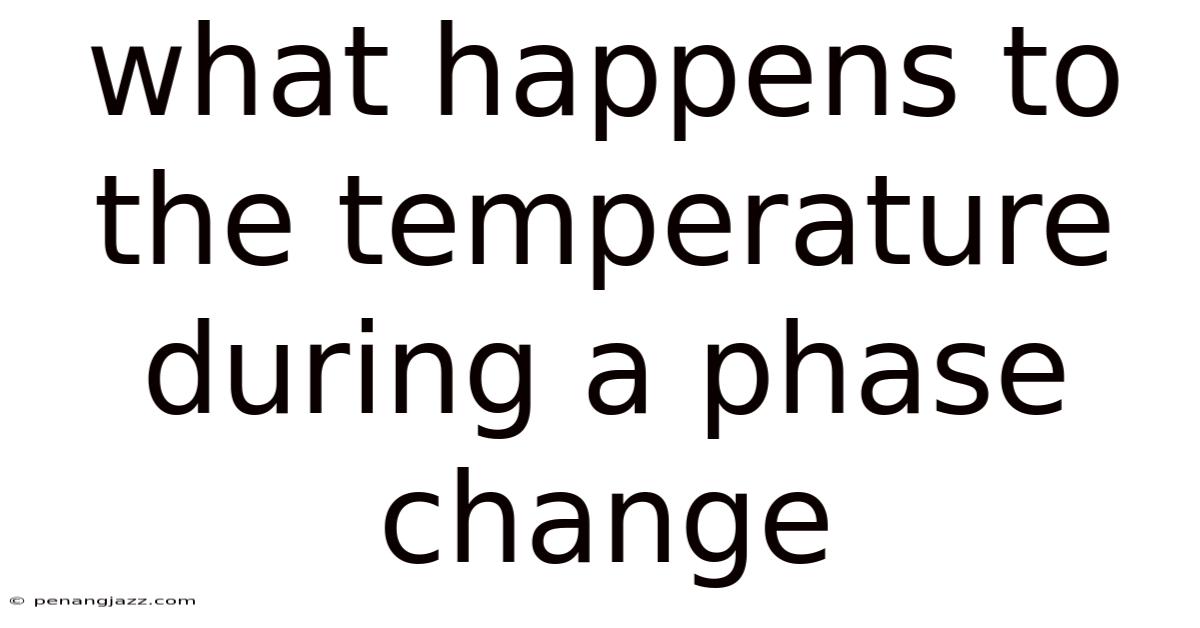 What Happens To The Temperature During A Phase Change