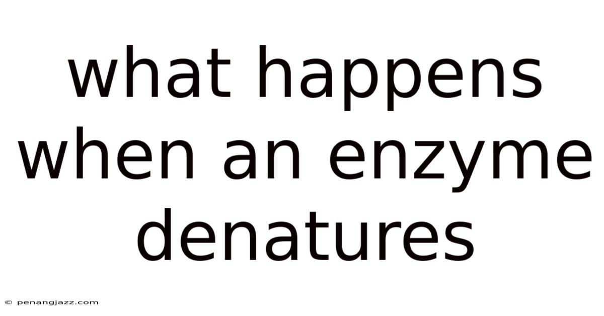 What Happens When An Enzyme Denatures