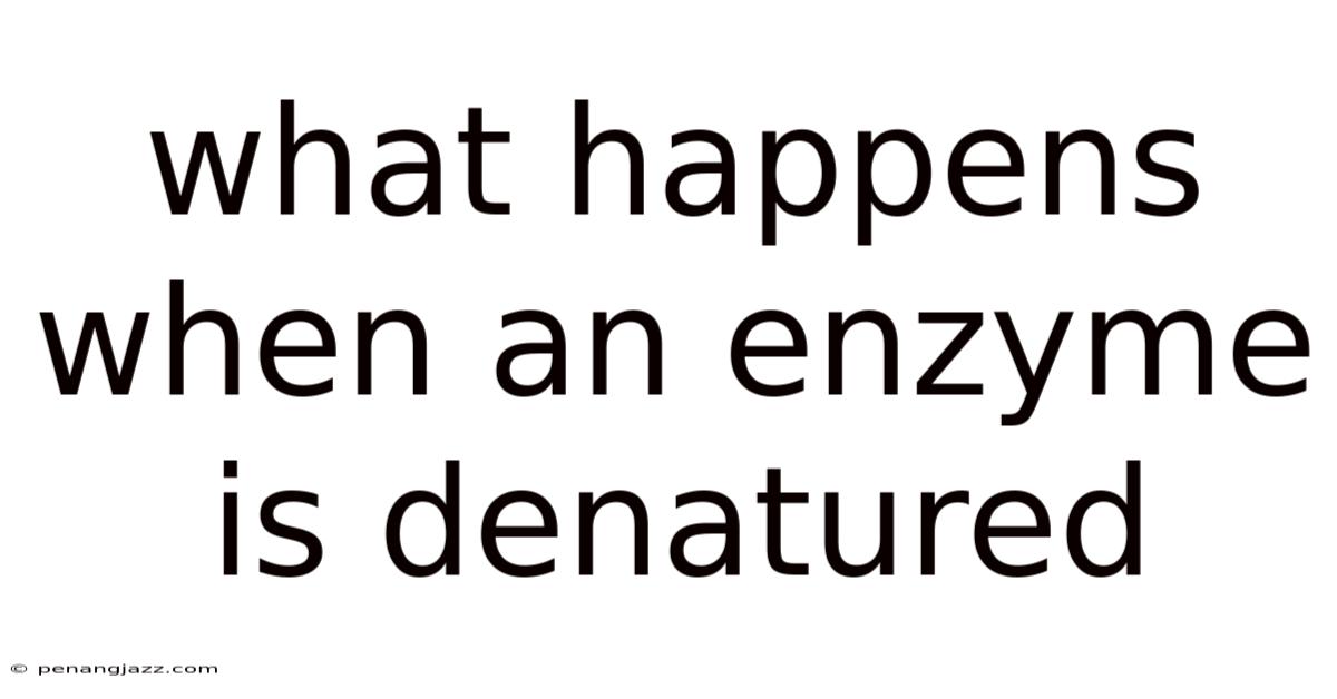 What Happens When An Enzyme Is Denatured