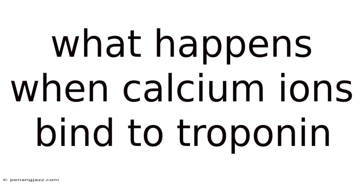 What Happens When Calcium Ions Bind To Troponin