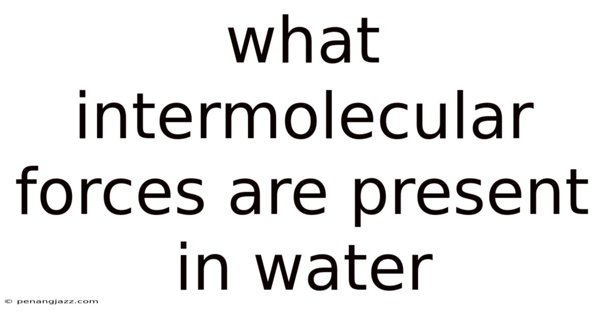 What Intermolecular Forces Are Present In Water