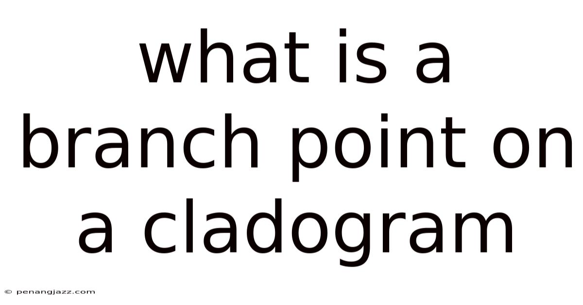 What Is A Branch Point On A Cladogram