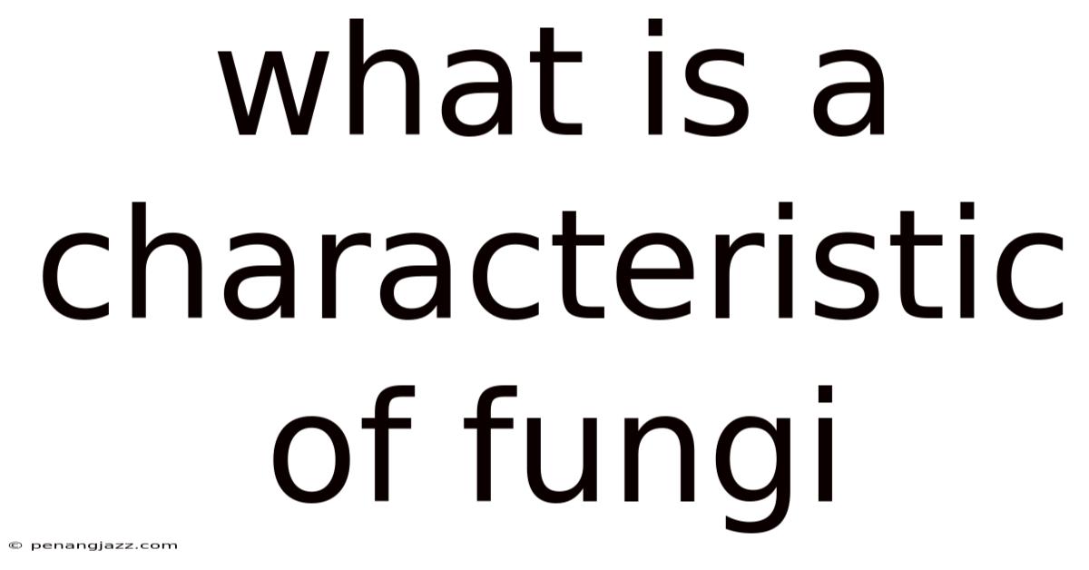 What Is A Characteristic Of Fungi