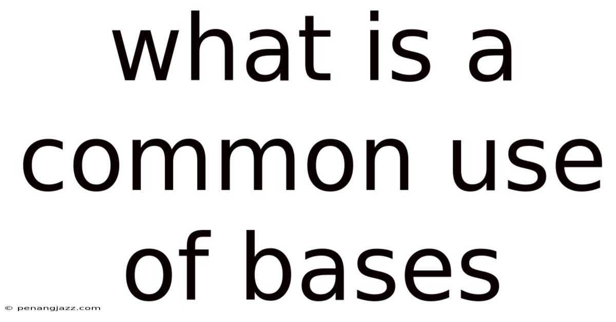 What Is A Common Use Of Bases