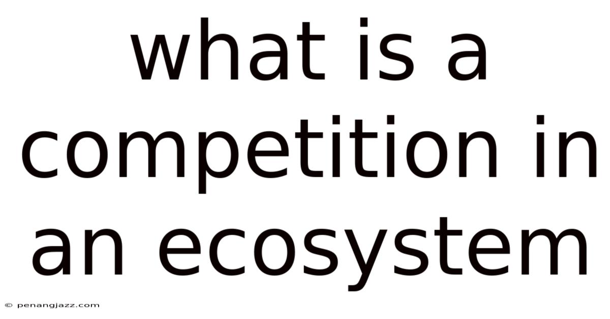 What Is A Competition In An Ecosystem