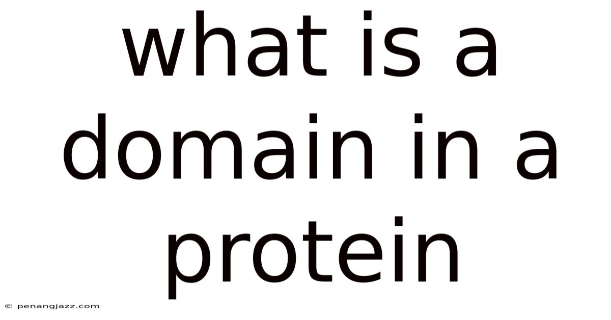 What Is A Domain In A Protein