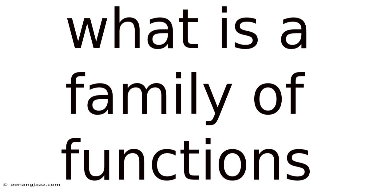 What Is A Family Of Functions