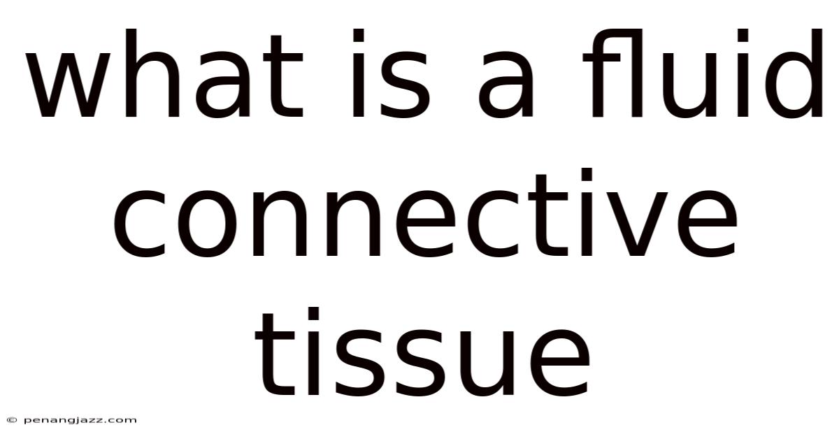 What Is A Fluid Connective Tissue
