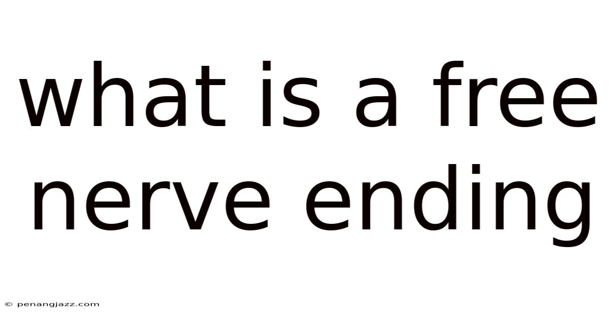 What Is A Free Nerve Ending