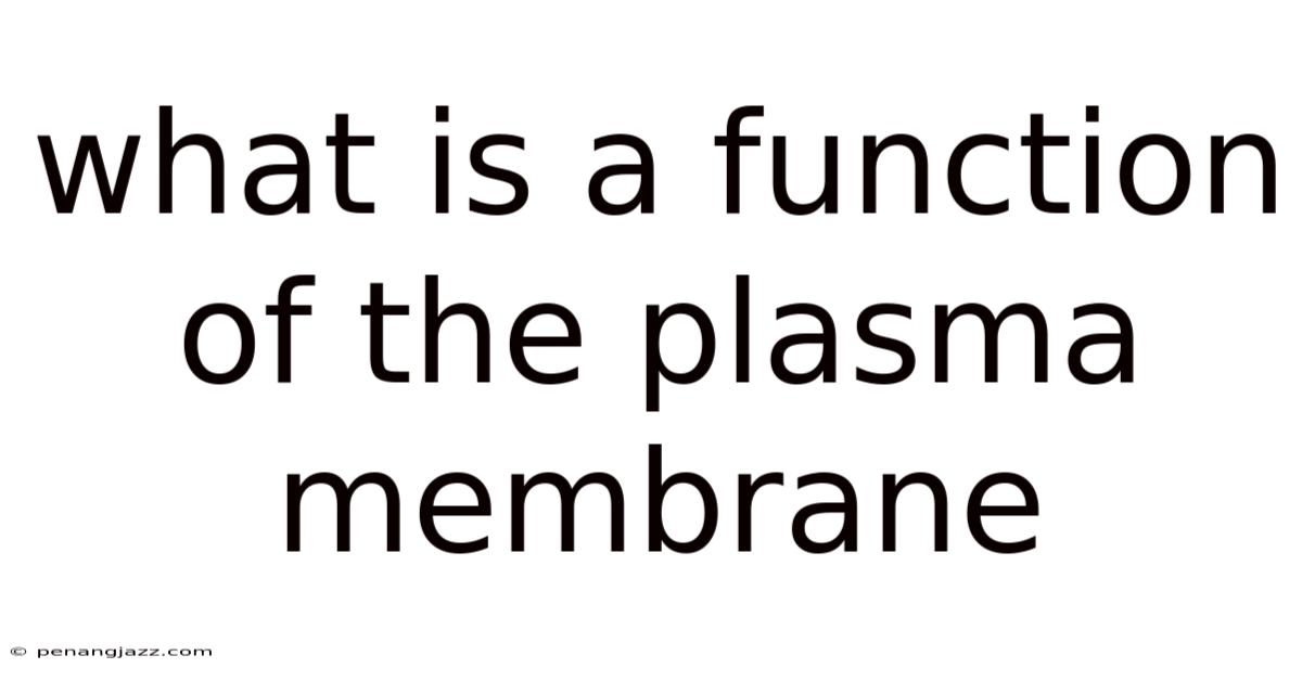 What Is A Function Of The Plasma Membrane
