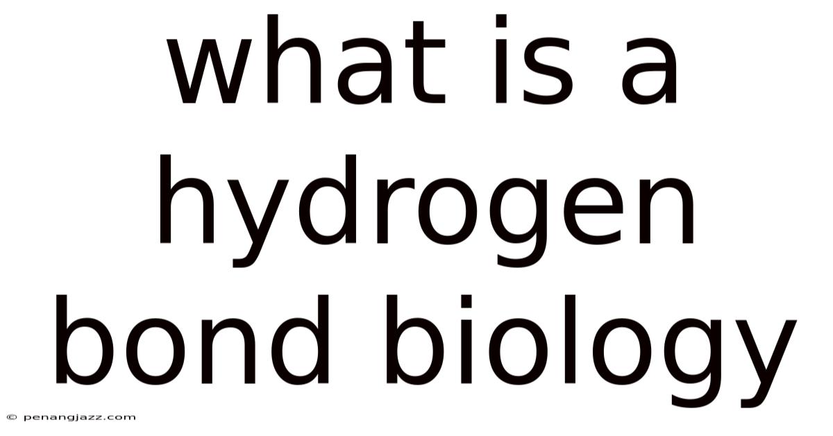 What Is A Hydrogen Bond Biology