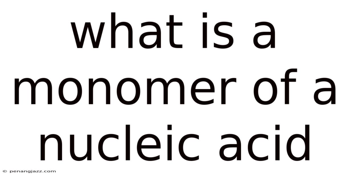 What Is A Monomer Of A Nucleic Acid
