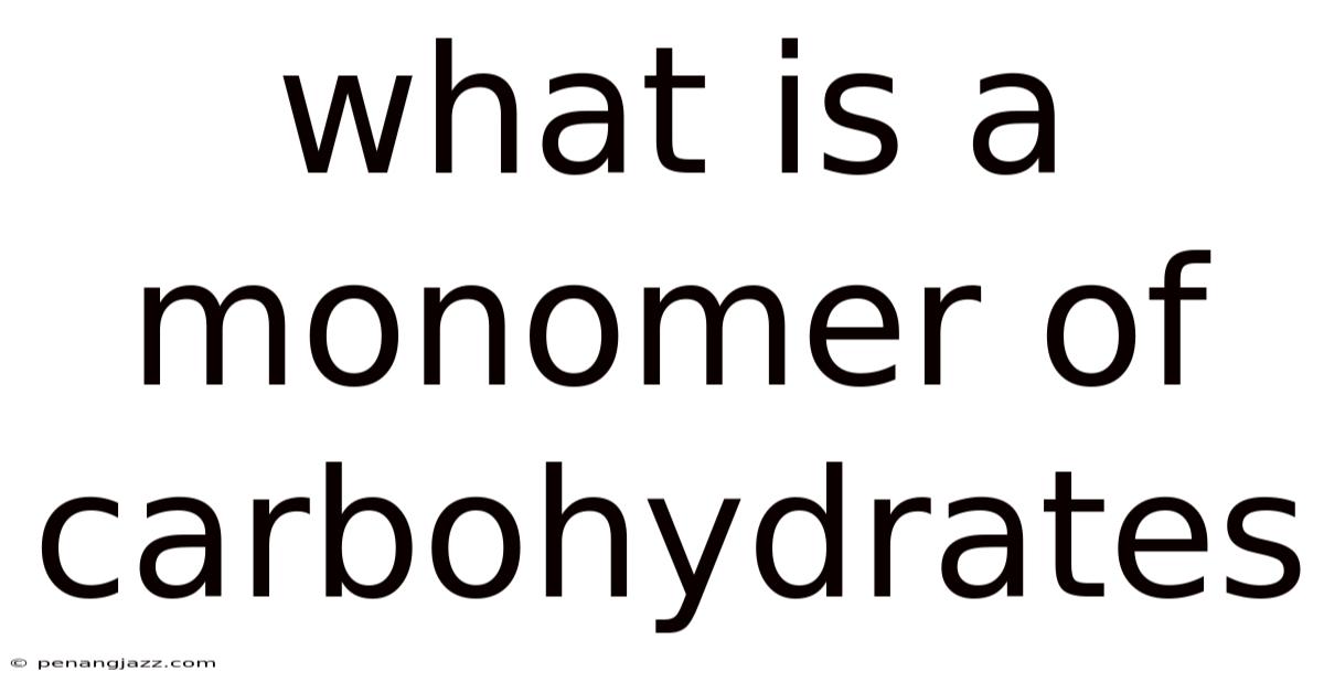 What Is A Monomer Of Carbohydrates