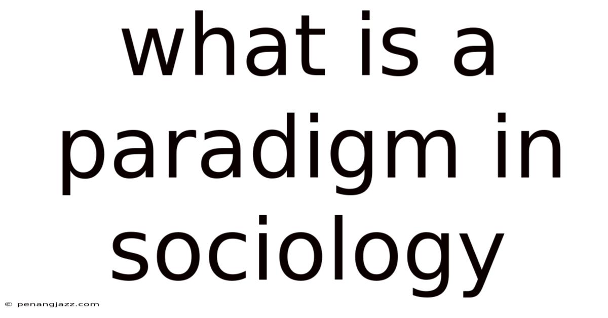 What Is A Paradigm In Sociology