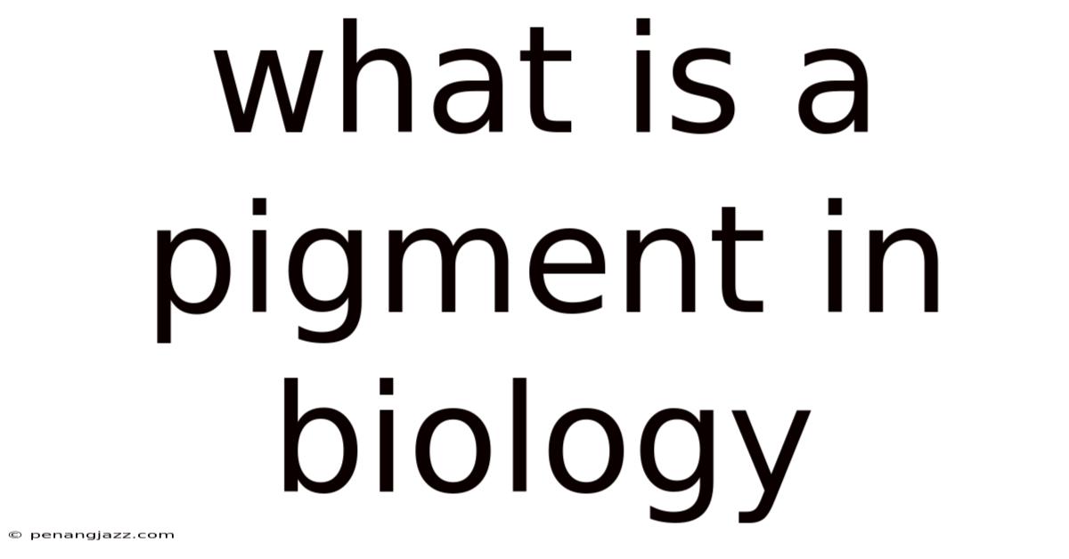 What Is A Pigment In Biology