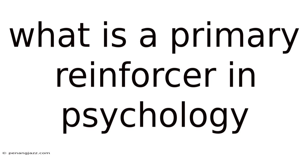 What Is A Primary Reinforcer In Psychology
