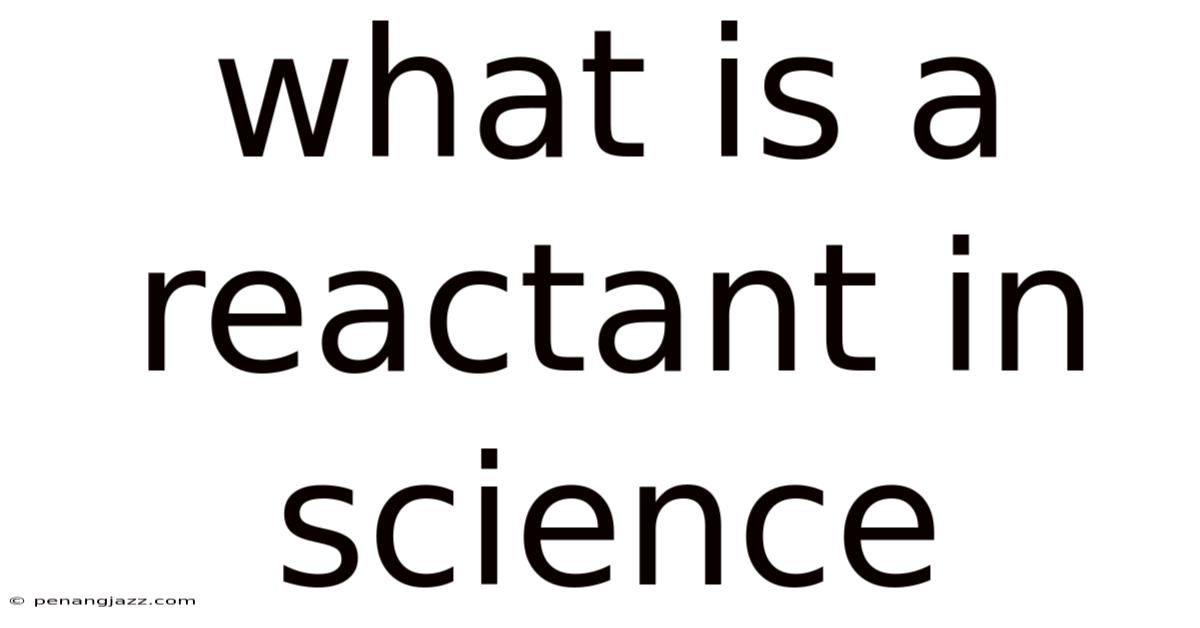 What Is A Reactant In Science