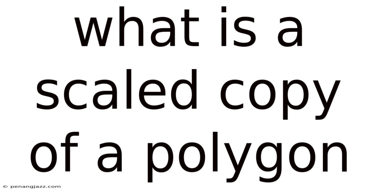 What Is A Scaled Copy Of A Polygon