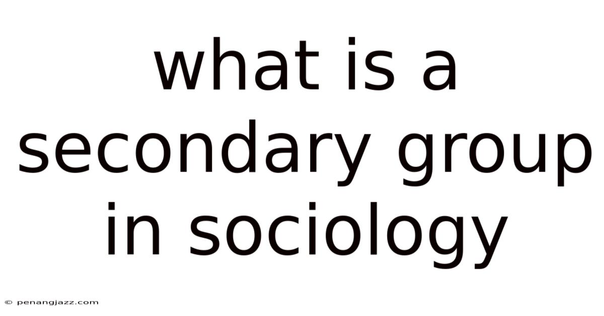 What Is A Secondary Group In Sociology