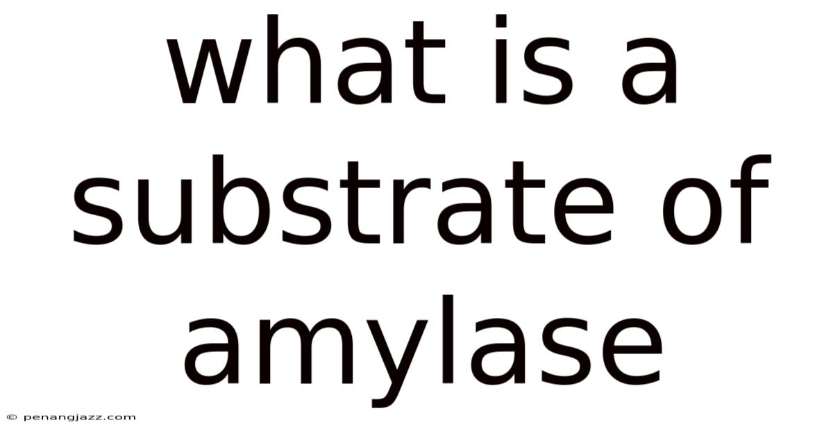 What Is A Substrate Of Amylase