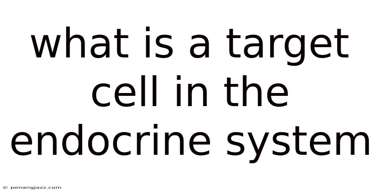 What Is A Target Cell In The Endocrine System
