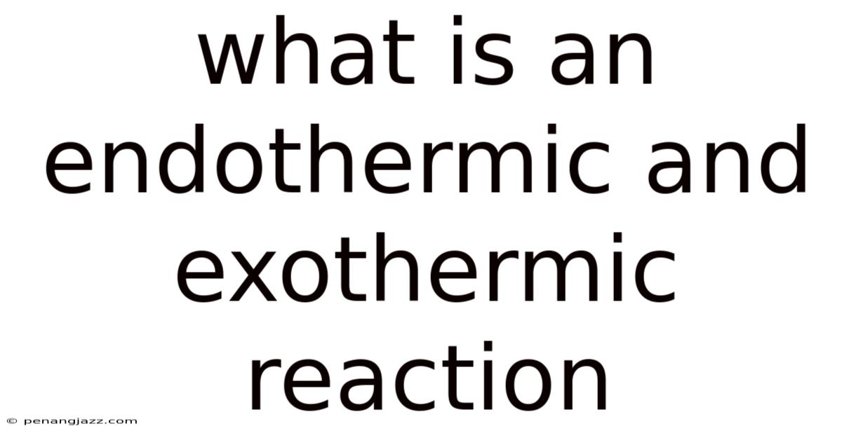 What Is An Endothermic And Exothermic Reaction