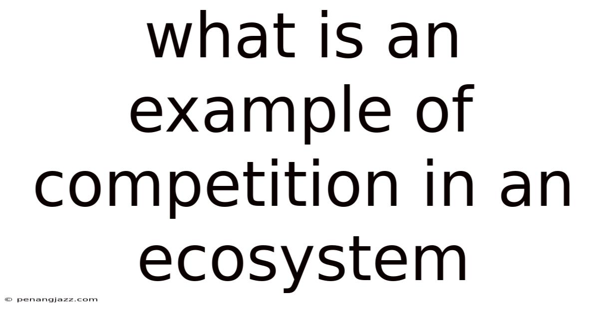 What Is An Example Of Competition In An Ecosystem