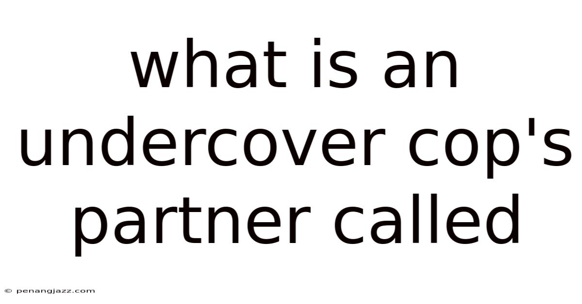 What Is An Undercover Cop's Partner Called