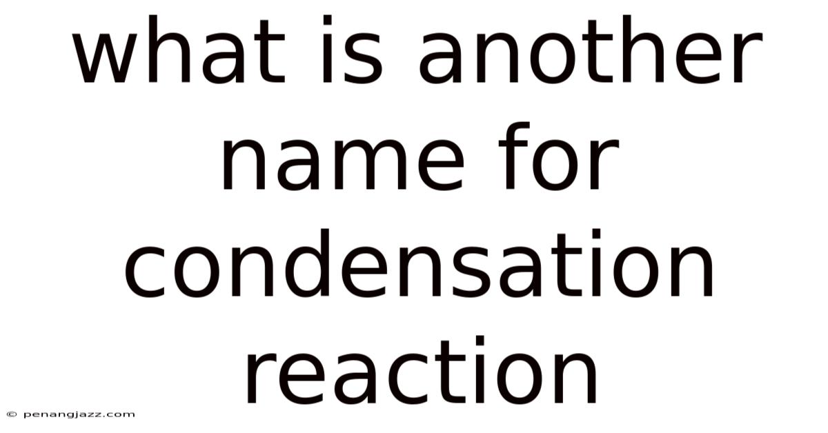 What Is Another Name For Condensation Reaction