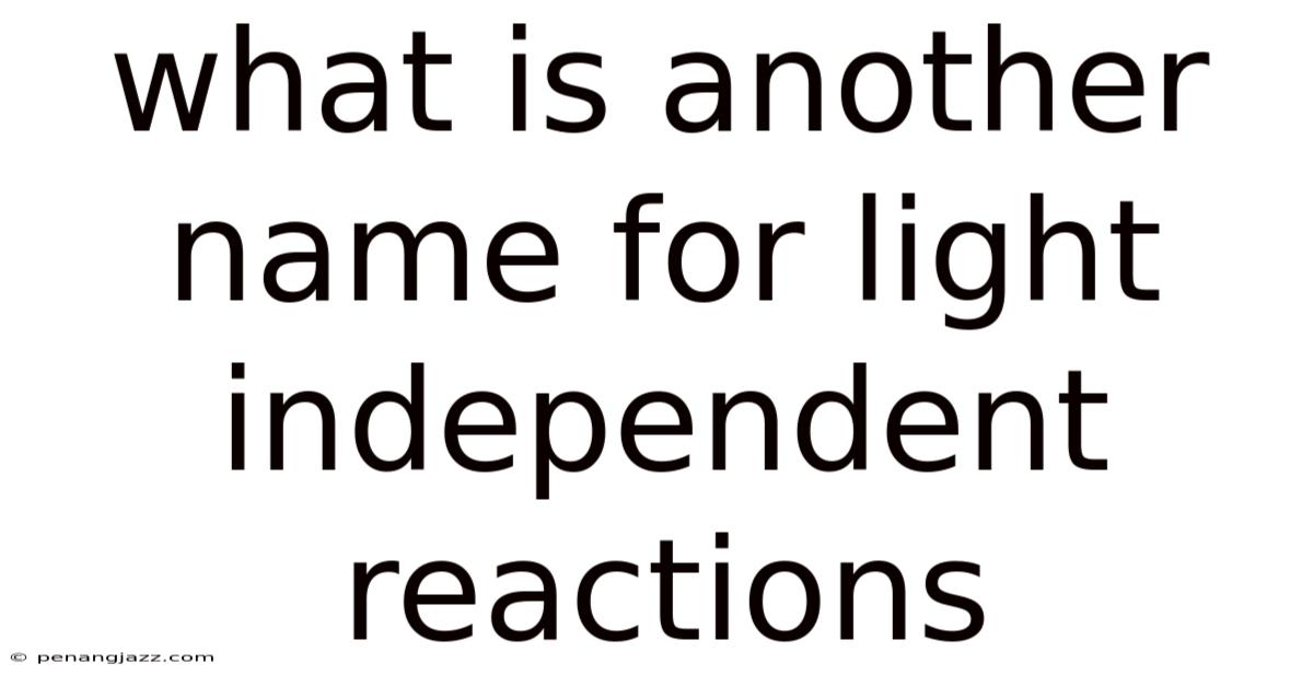 What Is Another Name For Light Independent Reactions