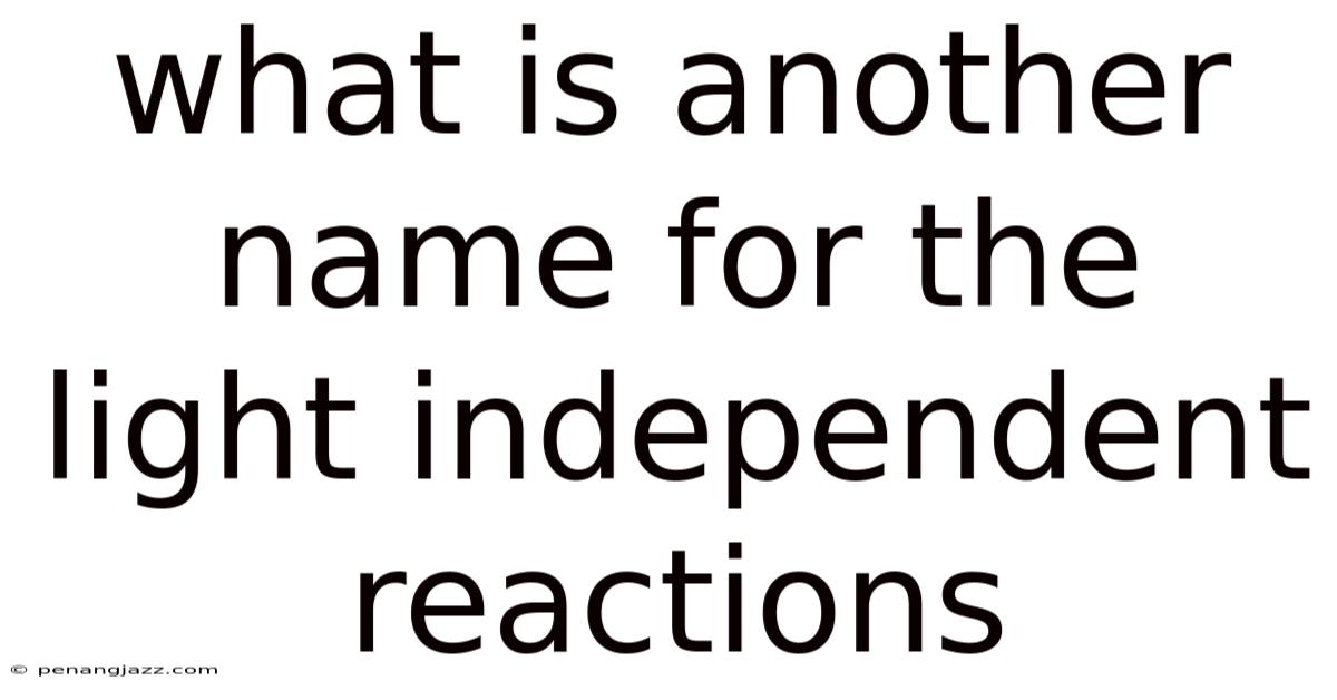 What Is Another Name For The Light Independent Reactions