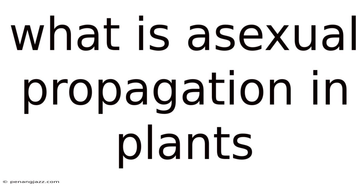 What Is Asexual Propagation In Plants