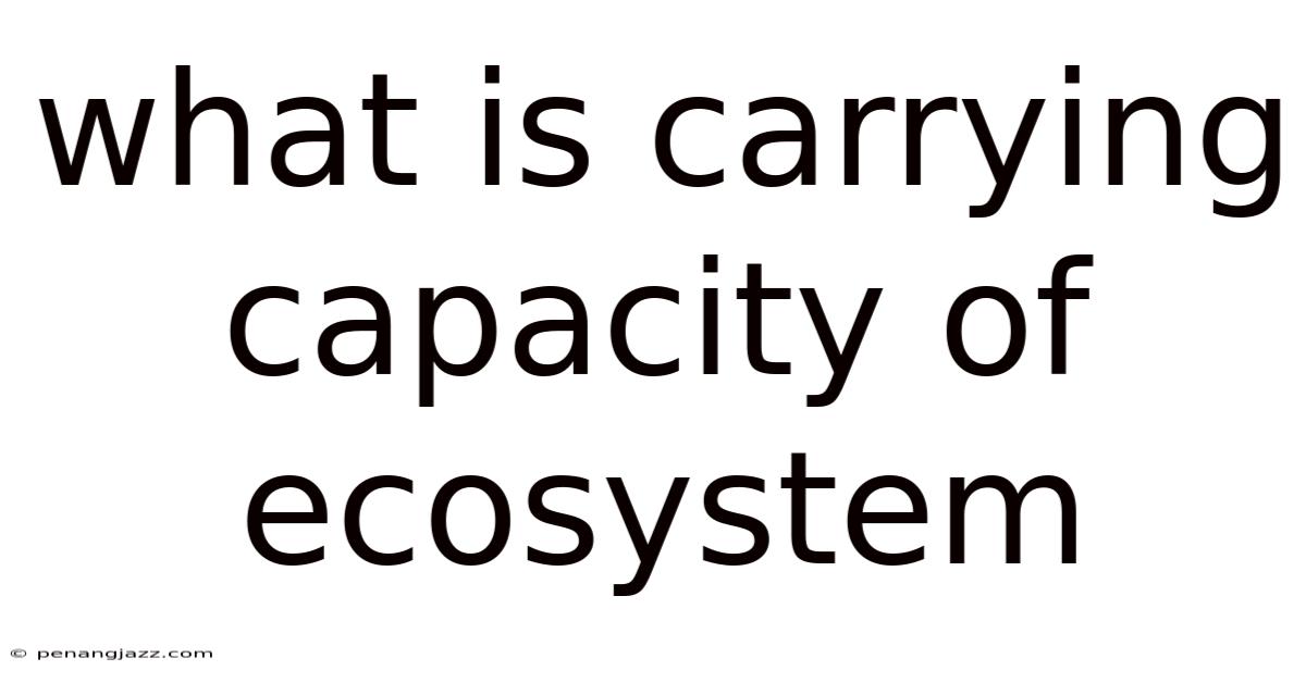 What Is Carrying Capacity Of Ecosystem
