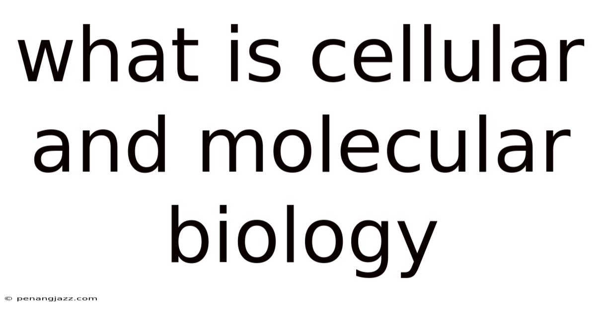 What Is Cellular And Molecular Biology