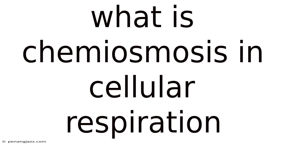 What Is Chemiosmosis In Cellular Respiration