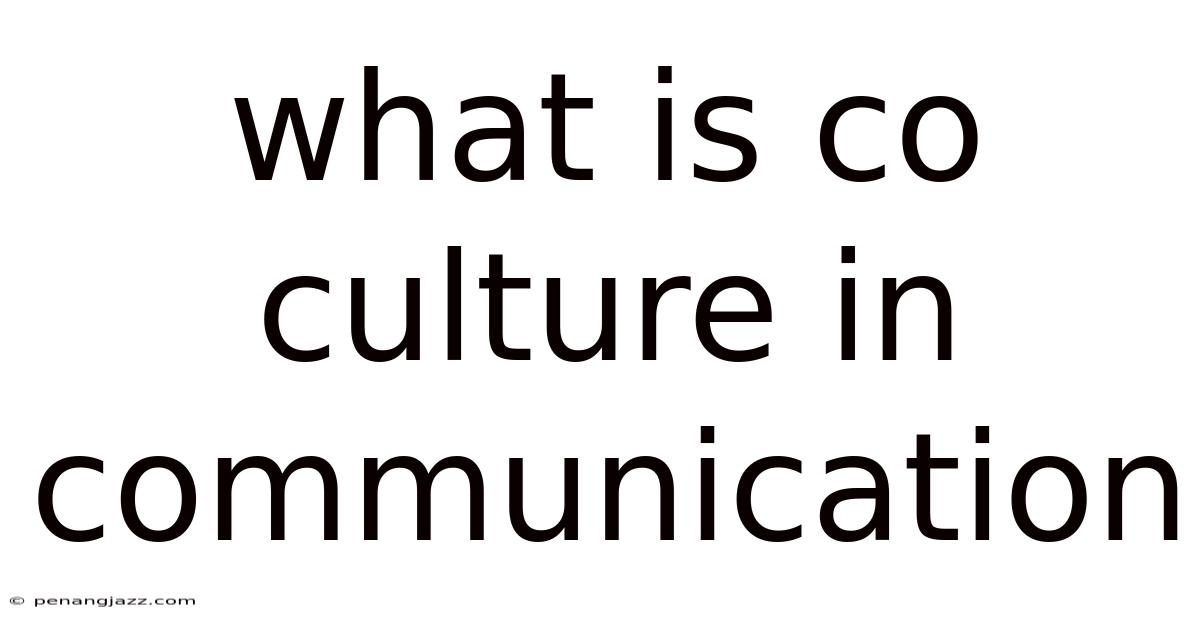 What Is Co Culture In Communication