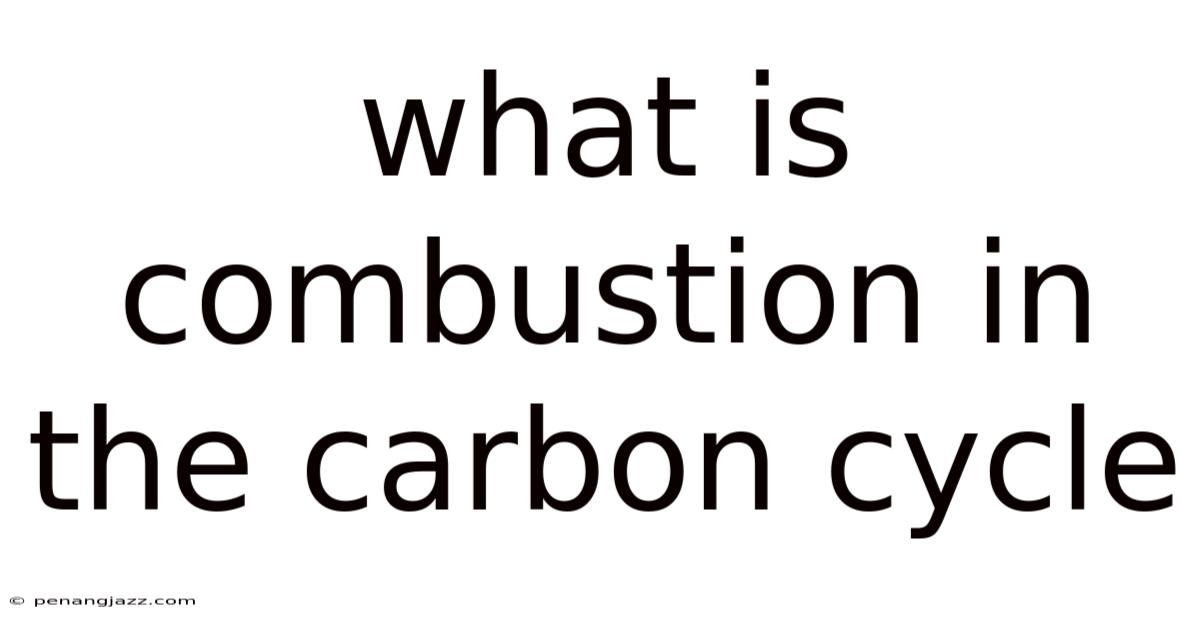 What Is Combustion In The Carbon Cycle