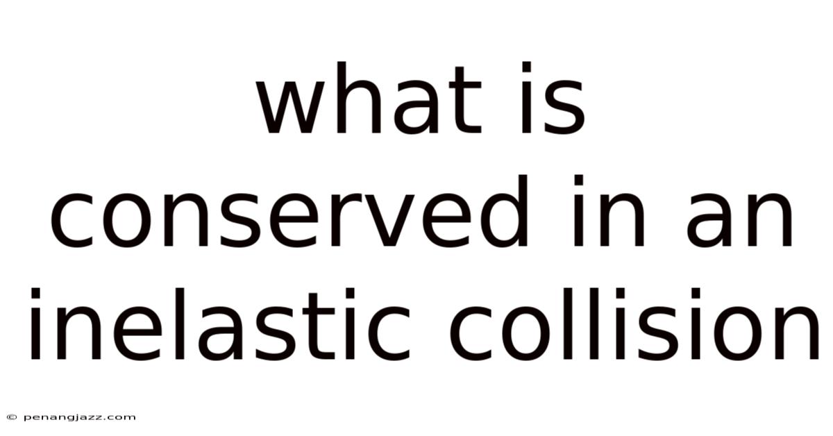 What Is Conserved In An Inelastic Collision