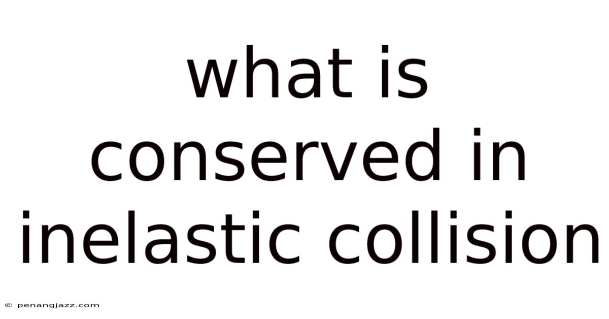 What Is Conserved In Inelastic Collision