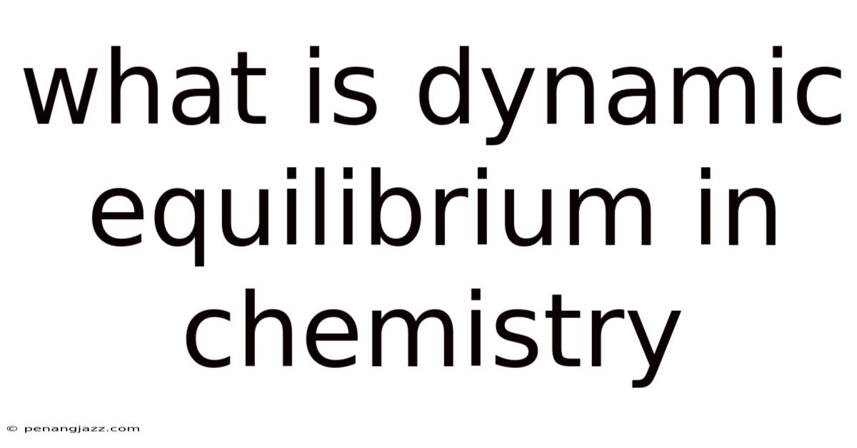 What Is Dynamic Equilibrium In Chemistry