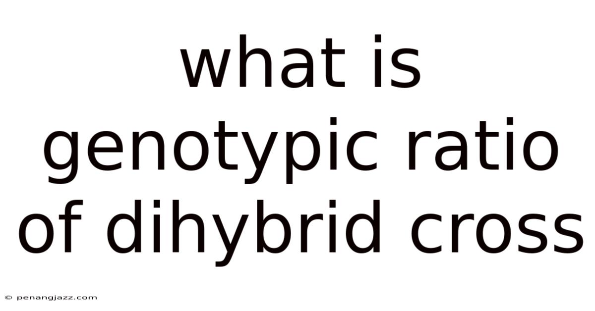 What Is Genotypic Ratio Of Dihybrid Cross